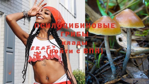 каннабис Гусев