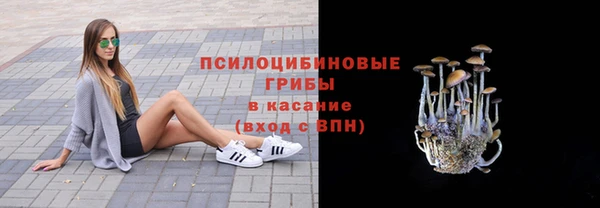 гашик Дмитров