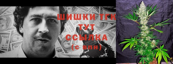 тгк Дмитровск