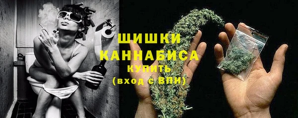 гашик Дмитров