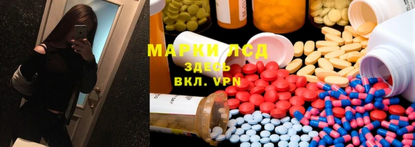 гашик Дмитров