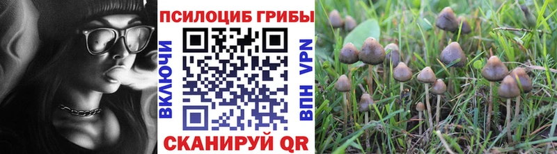 Купить  Нелидово  Псилоцибиновые грибы мухоморы 