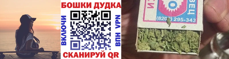 Купить закладки  Нелидово  Шишки марихуана тримм 